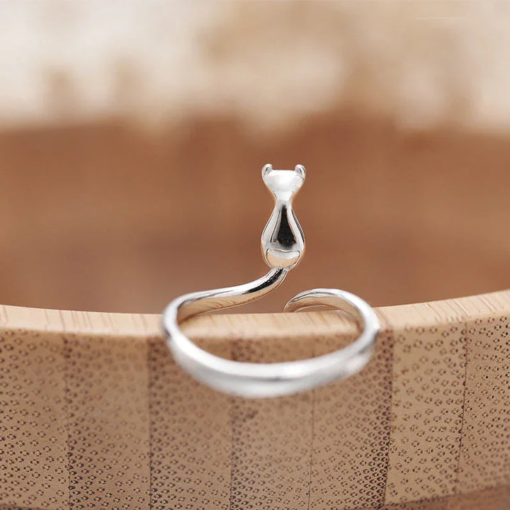 Nastaviteľný strieborný prsteň s kameňom